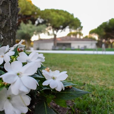 Alojamientos La Tortuga Chiclana de la Frontera Exteriér fotografie
